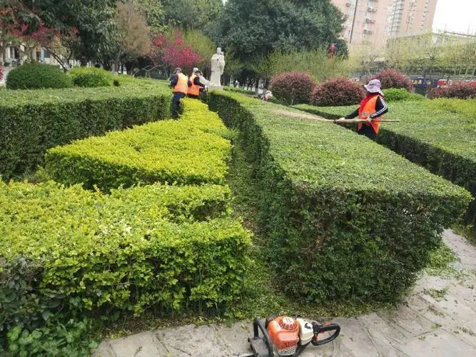 姜堰城市绿化护栏规范