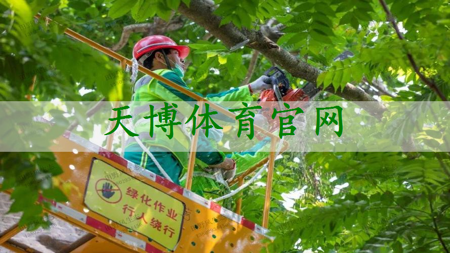 新乡市政绿化公司需要建造师吗知乎