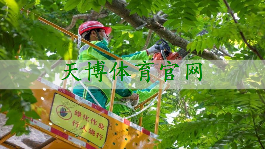 别墅园林景观设计田园